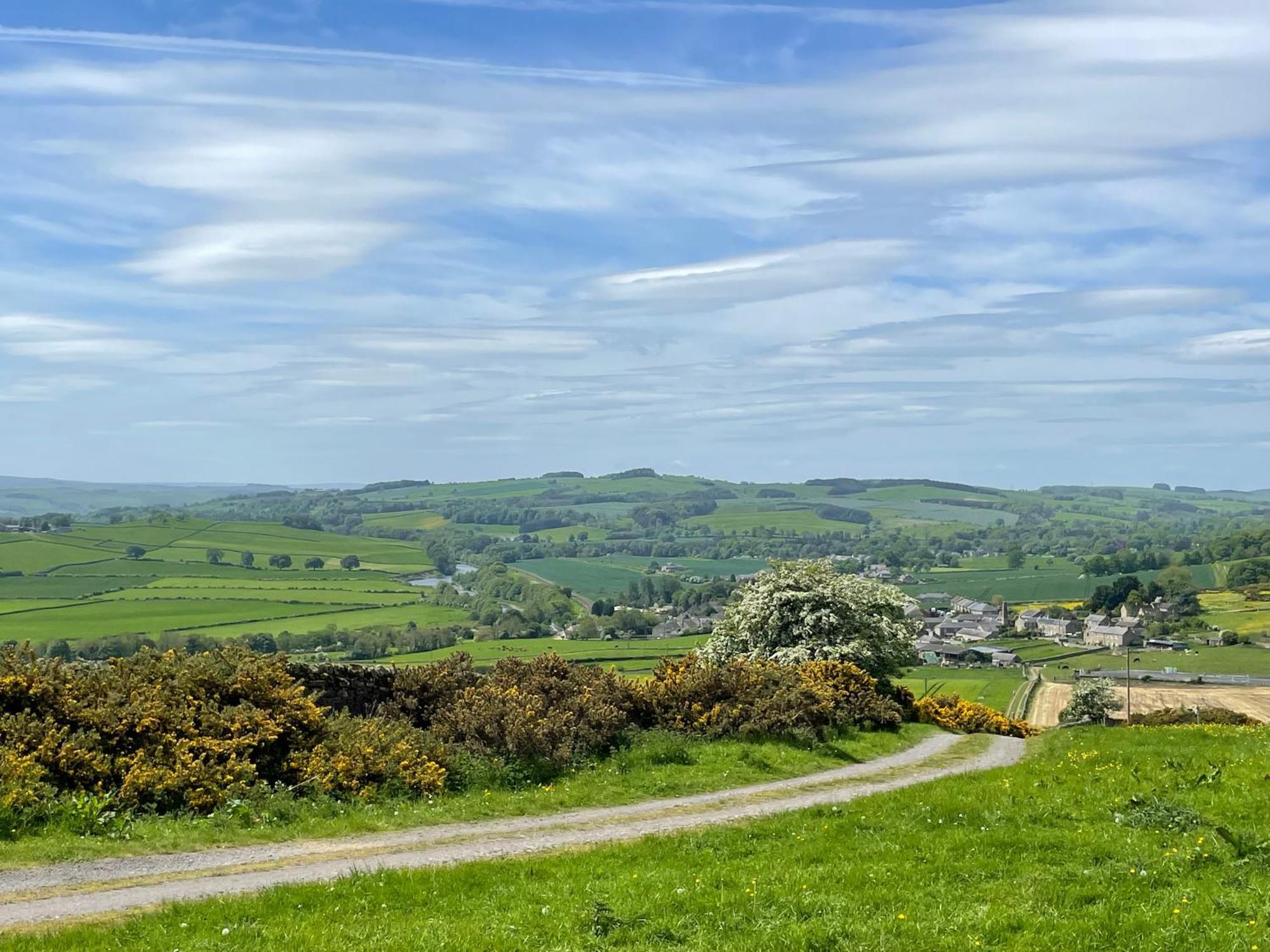 Stay On The Hill - Self Catered Cottages Laverick And Bothy Hexham Luaran gambar